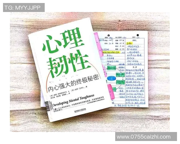 武汉攀岩队心理素质排名第八，展现团队实力与心理韧性